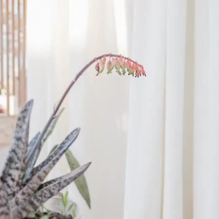 Apartamento Miramare *